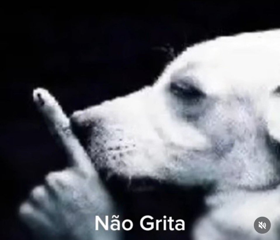 Gabi_graebin tweet picture