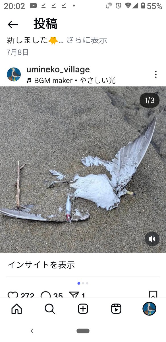 ＮＰＯ法人鮫町蕪島ウミネコvillage tweet media