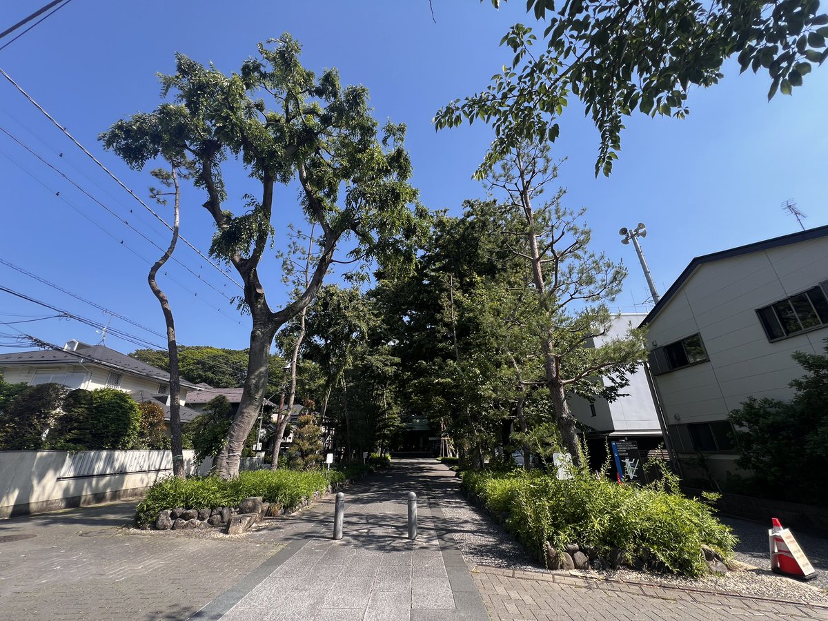 植田工 うえだたくみ tweet media
