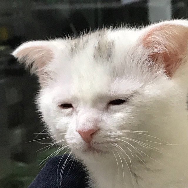 plc_012's tweet photo. 이제 선물이랑 편지만 쓰면 되에...... 뭐.. 간단하지.. https://t.co/SYPfx4CoV8