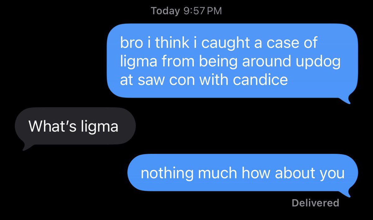 low elo truther tweet media