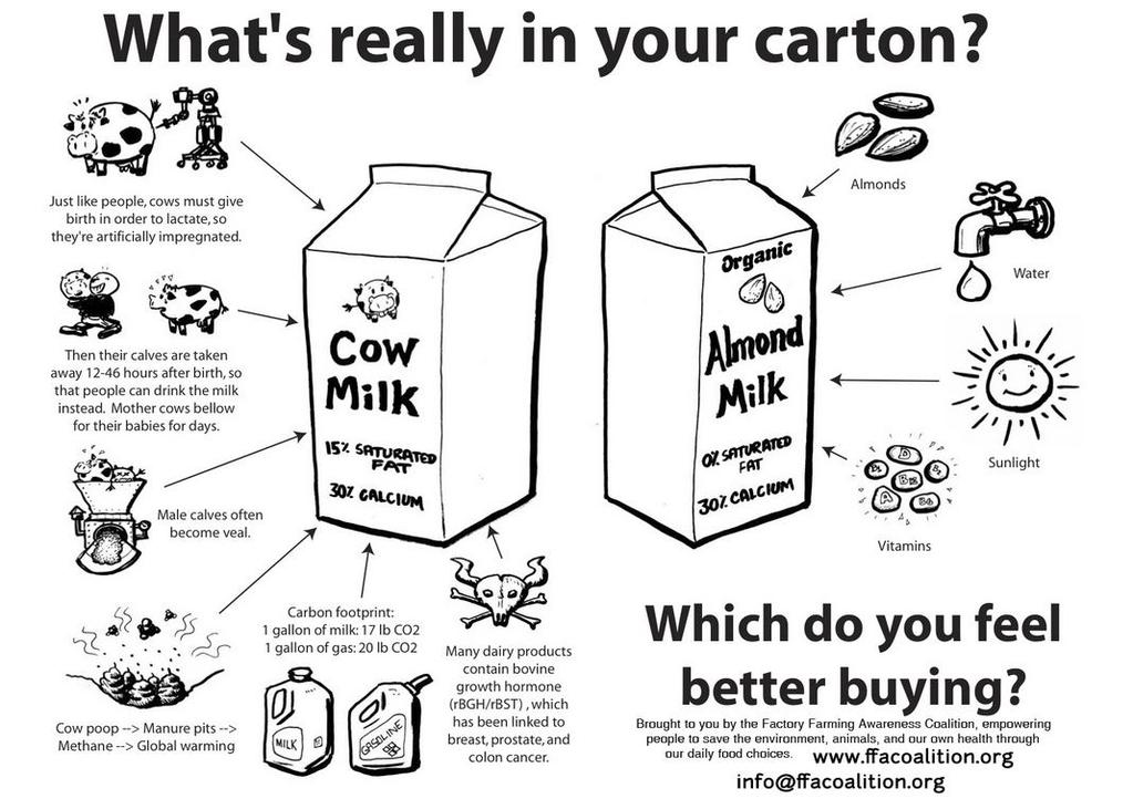 veganfuture's tweet photo. What's really in a carton of milk #DitchDairy #GoVegan https://t.co/p9K40bvh39