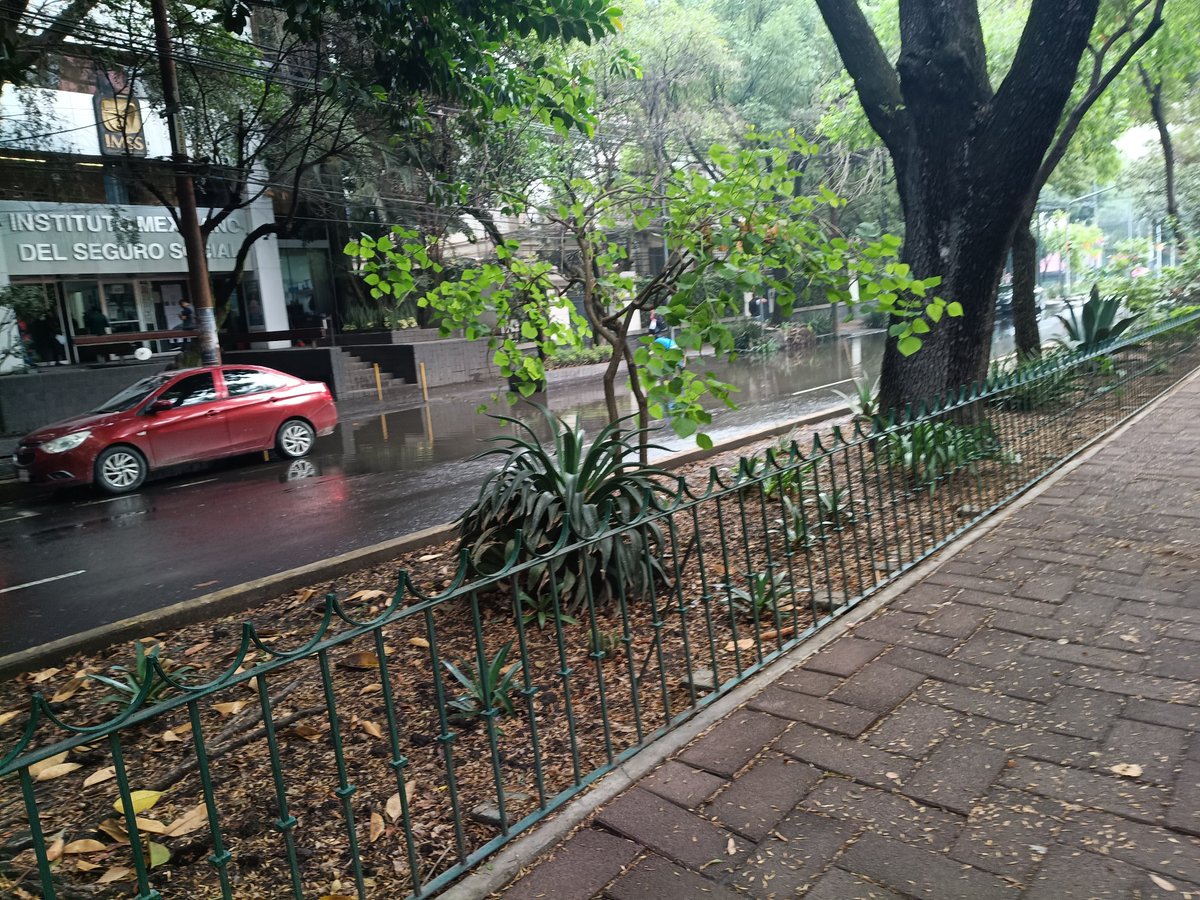 Ravilaramirez's tweet photo. @AlcaldiaCuauht 
@AlessandraRdlv 
Buenas tardes 
Por favor
Desazolven avenida Durango
Siempre que llueve es lo mismo ,se inunda la calle y banqueta 
Saludos https://t.co/xzXh7mebG8