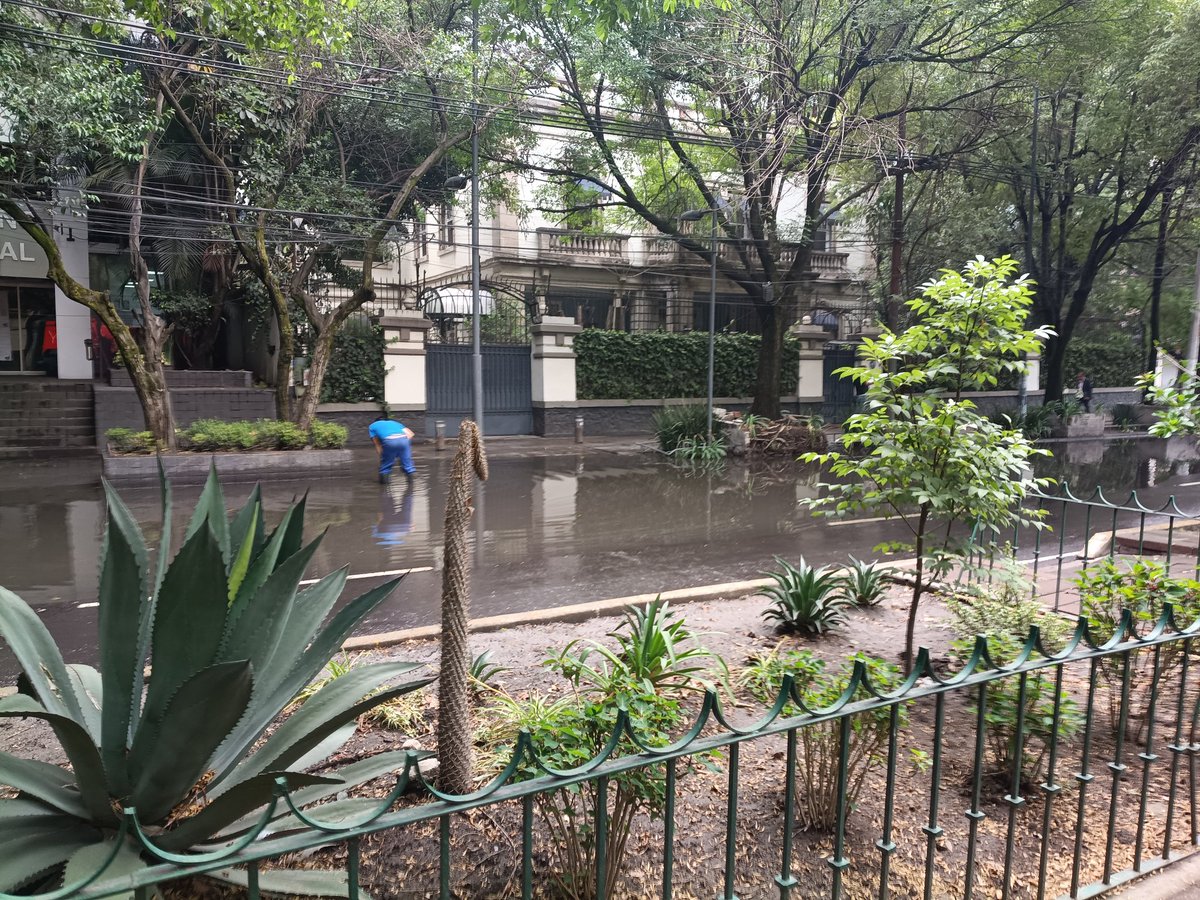 Ravilaramirez's tweet photo. @AlcaldiaCuauht 
@AlessandraRdlv 
Buenas tardes 
Por favor
Desazolven avenida Durango
Siempre que llueve es lo mismo ,se inunda la calle y banqueta 
Saludos https://t.co/xzXh7mebG8