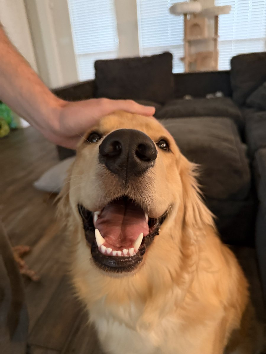 TECTONE 🇺🇸 tweet media