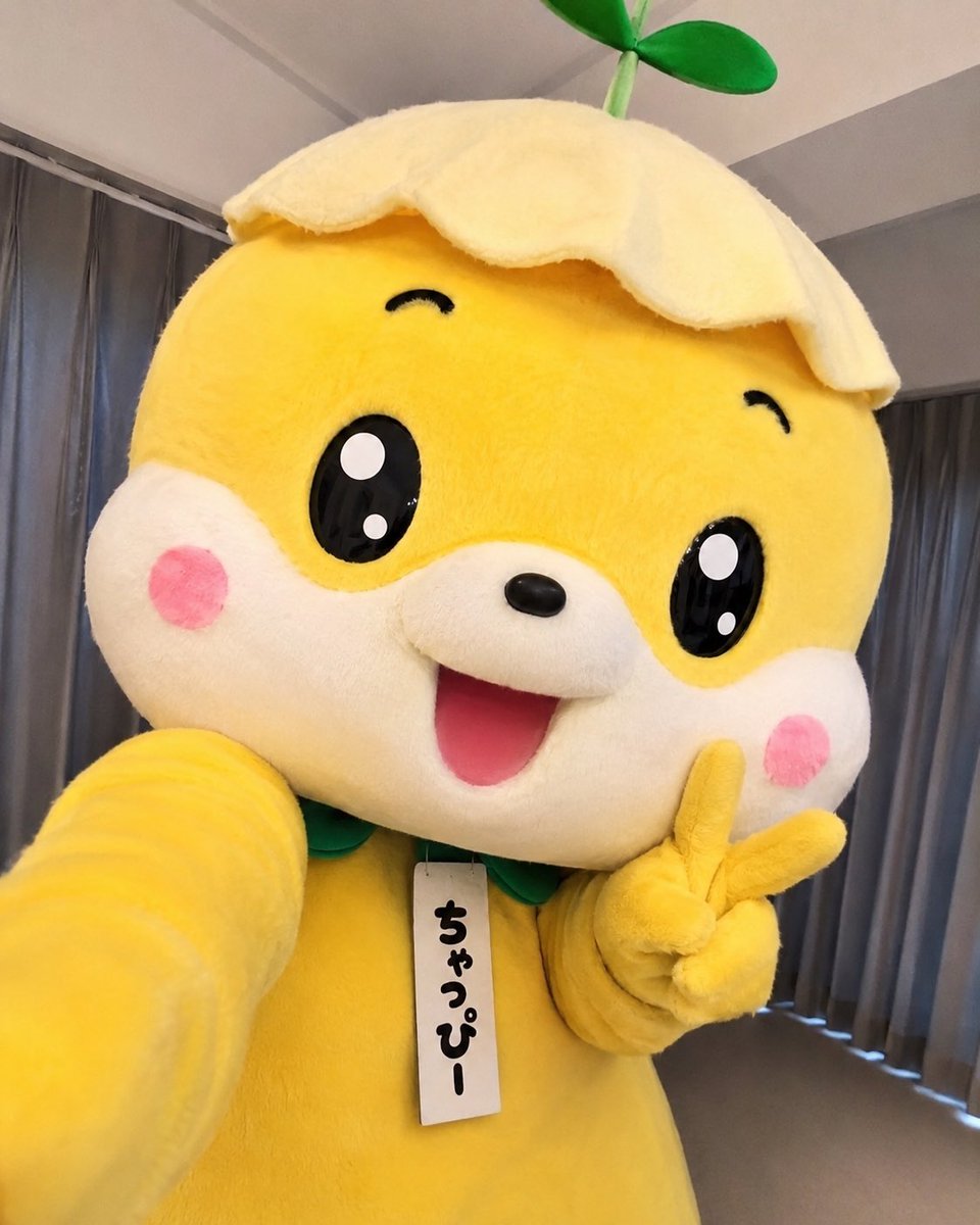 はっしー tweet media