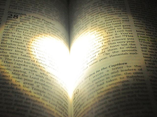12156565's tweet photo. John4:24
God is Spirit, and His worshipers must worship Him in spirit and in truth.
No one on Earth can be of God for God or believe in God without the Truth.
Speaking, Believing, Finding, Correcting, etc..
GOD LOVES JUSTICE & TRUTH.
#Christianity #Church #BibleStudyDNA https://t.co/kdsJwblQH2