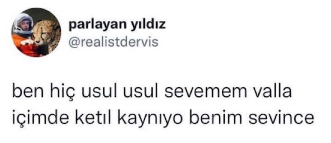 eskimeyen tivitler tweet media