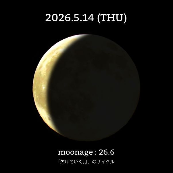 moon_cycle tweet media