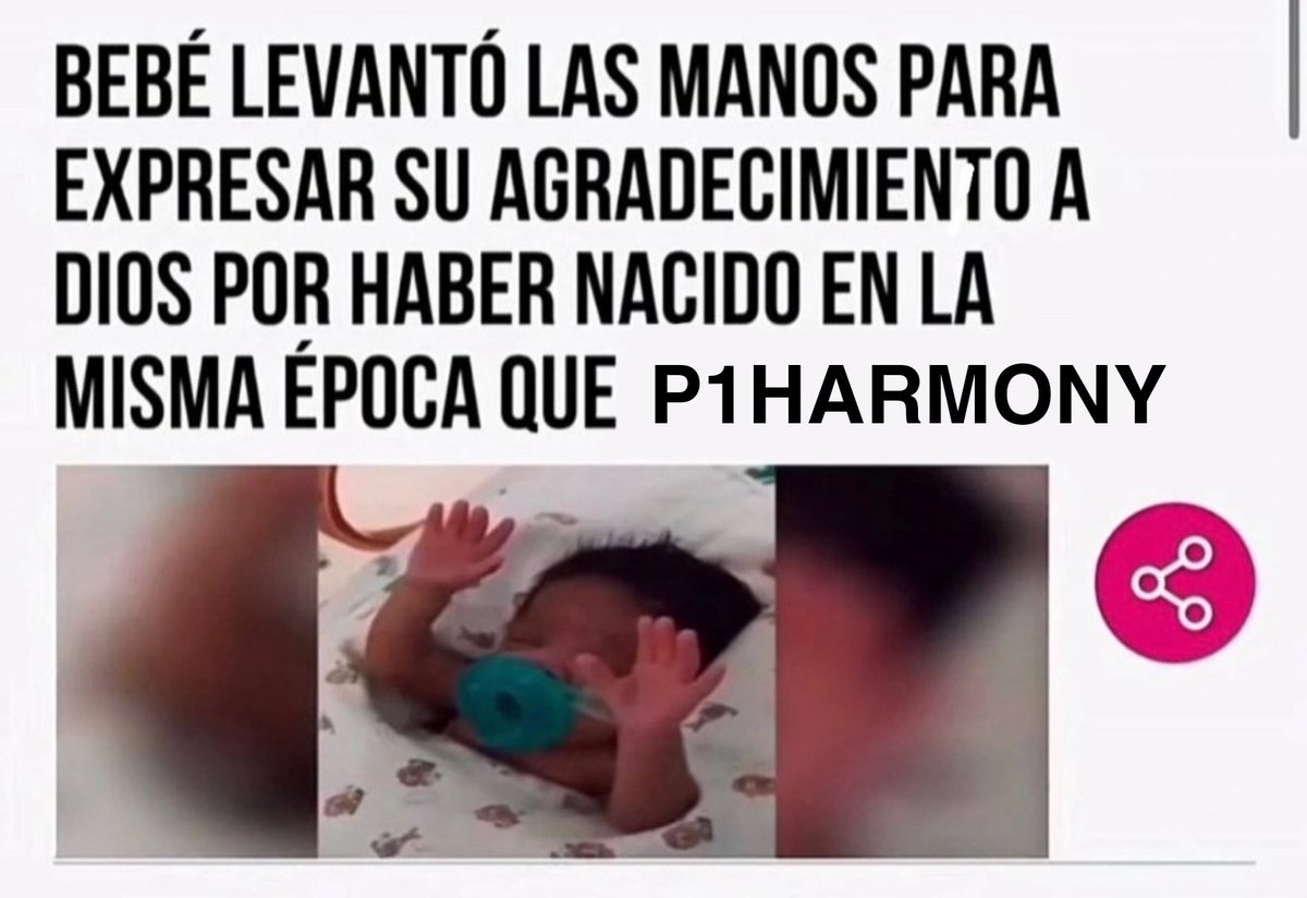lusia tweet media