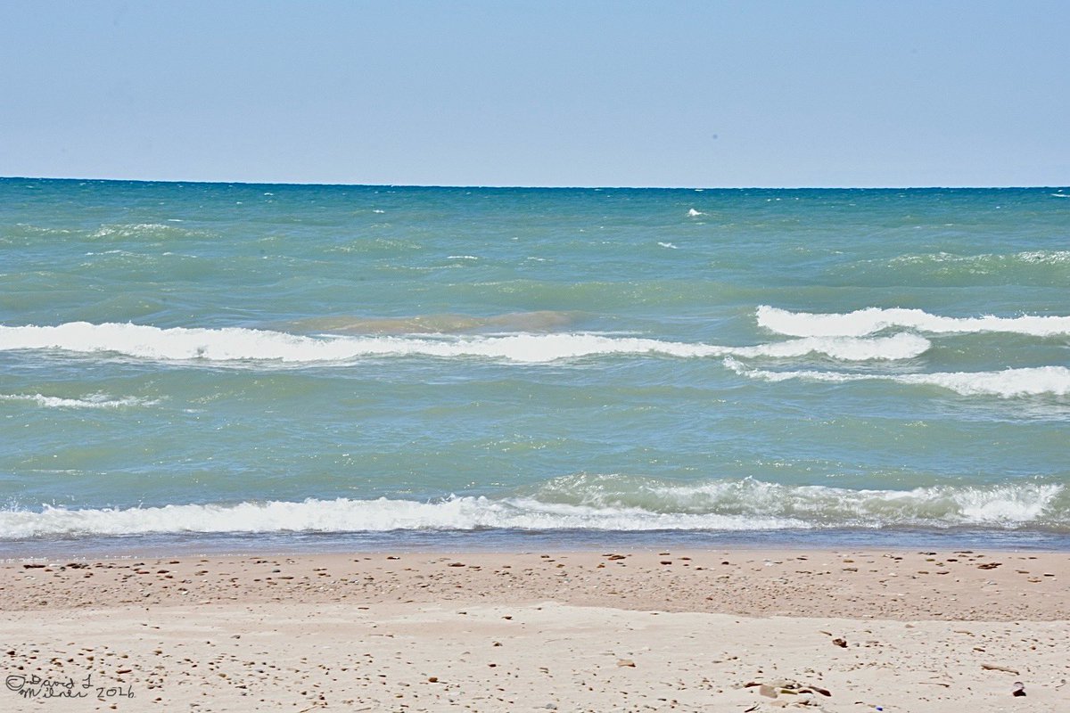 DMilnerPhoto tweet picture