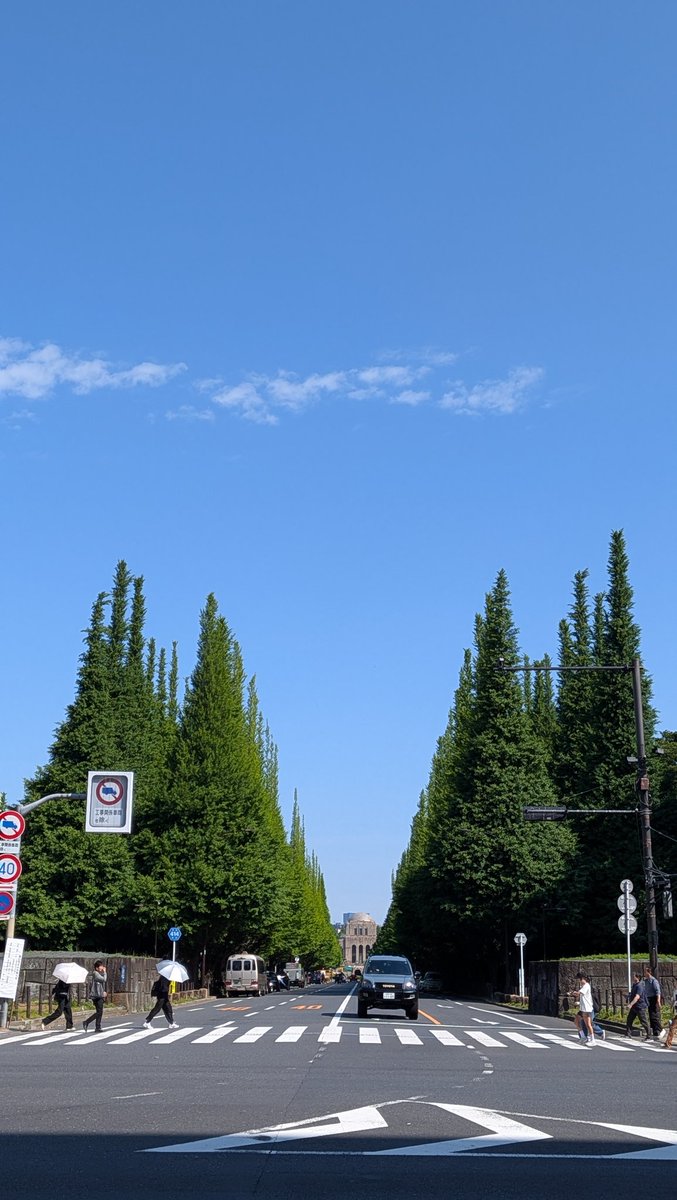 そらぴょん🌲 tweet media