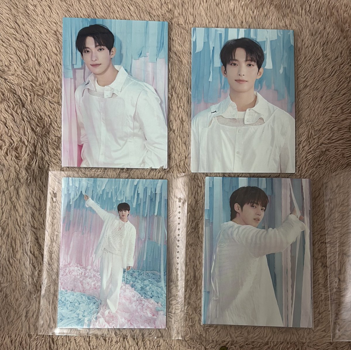 ninopon2's tweet photo. SEVENTEEN セブチ ペンミ ファンミ YAKUSOKU 交換 グッズ トレカ 

譲:スンチョル　ドギョム　
求: ジュン　❤️優先　🐱以外

14日東京ドームにおります。
郵送も可能です。
お気軽にお声掛けください。 https://t.co/9beR3r6PVz
