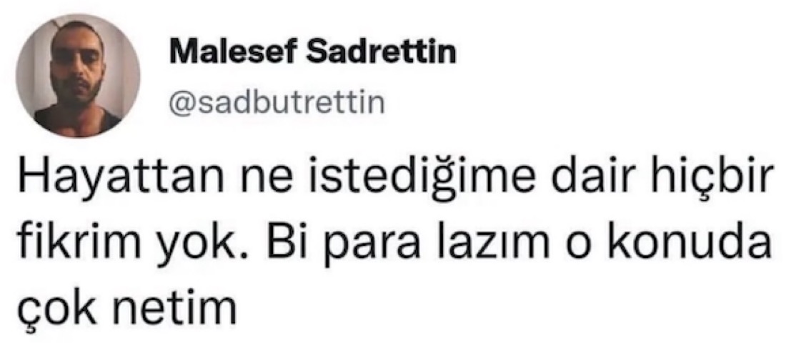 eskimeyen tivitler tweet media