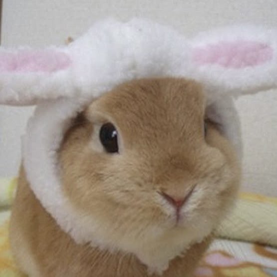 cosmtis's tweet photo. ﹕#주훈  Იᰍׄ  🐰 𓈒ׄ https://t.co/WHCyxtNKFo