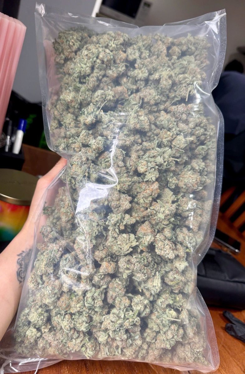 sincity seeds tweet media