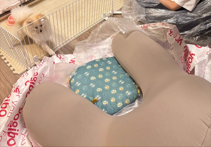 引っ越し祝いにとでっけぇヨギボー届いたんだけど最高すぎ