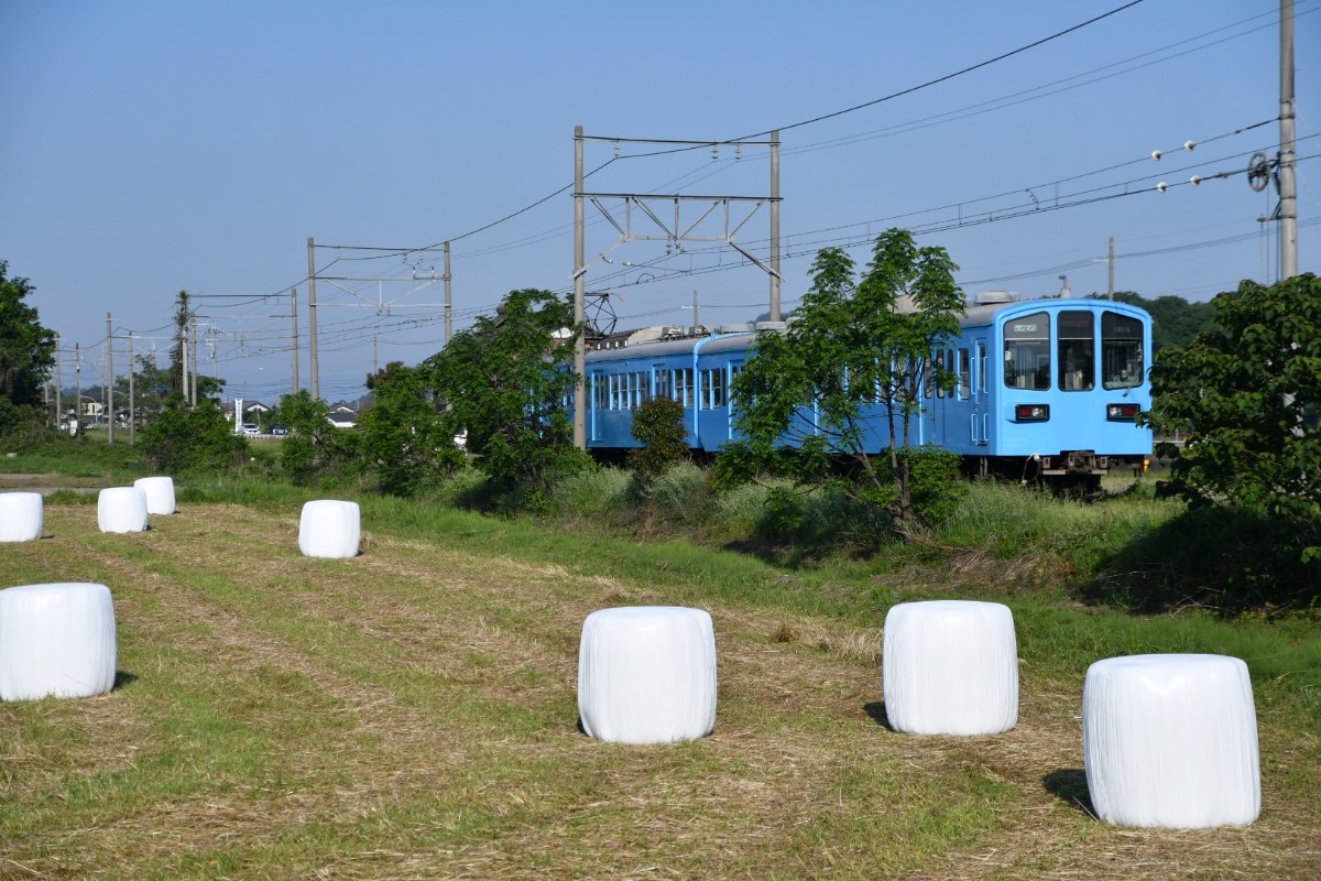 🚂 すいてつ (@express_hato) / Posts / X