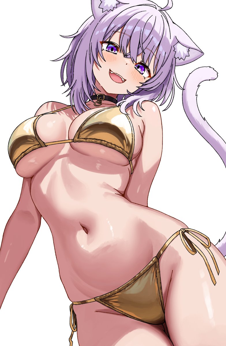 アーミテージ tweet media