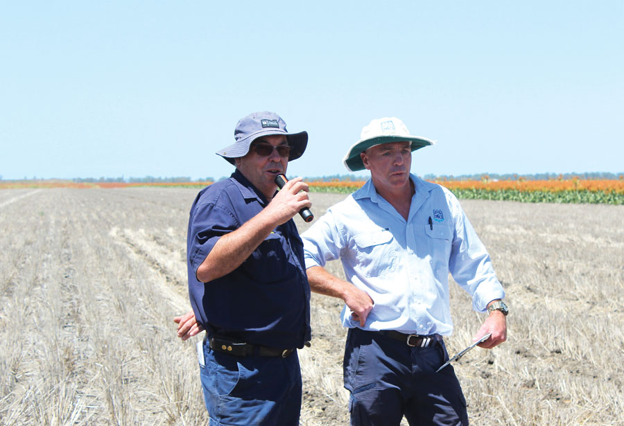 GRDC tweet media
