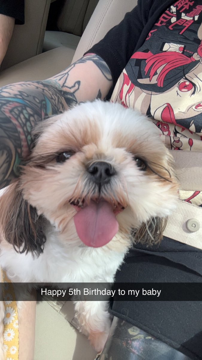 therocketnikki's tweet photo. The happiest girl ever on her birthday 🖤 https://t.co/IkzvFmvAKM