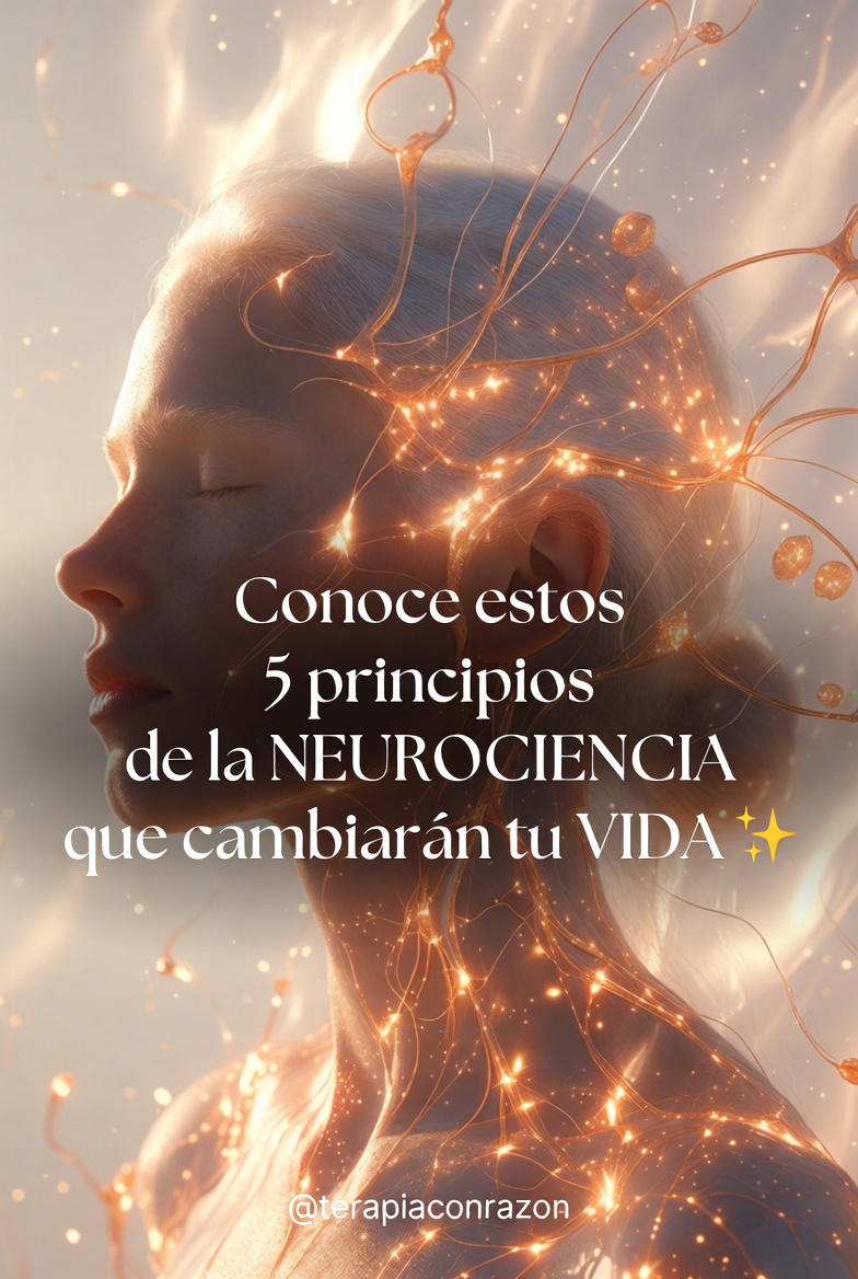 Terapia con Razón tweet media
