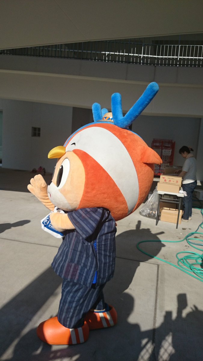 きいぼ tweet media
