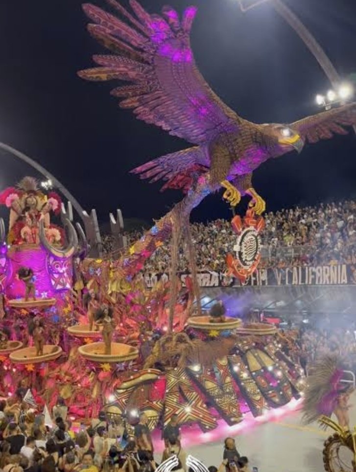O pior comentarista do Carnaval SP 🇨🇩 tweet media