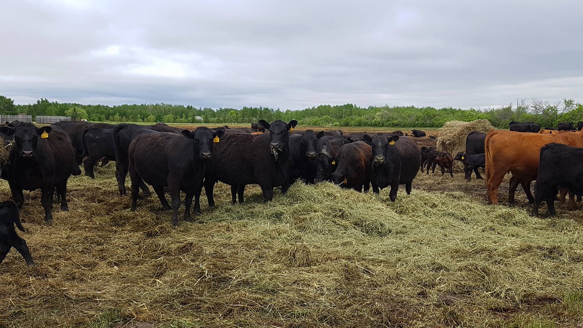 RealAgriculture tweet media