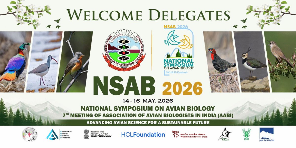 nsab2026 tweet media