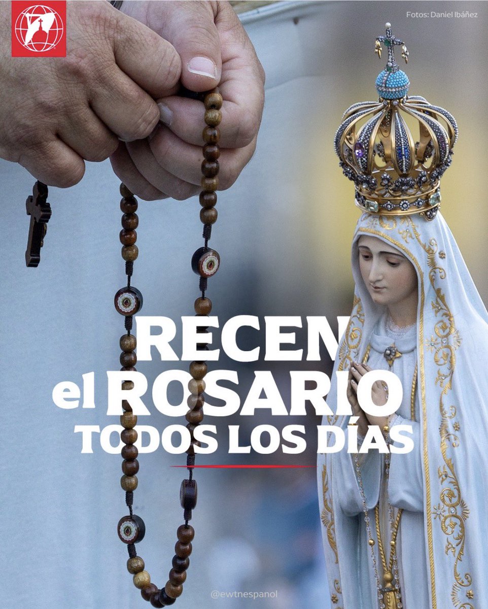EWTN ESPAÑOL tweet media