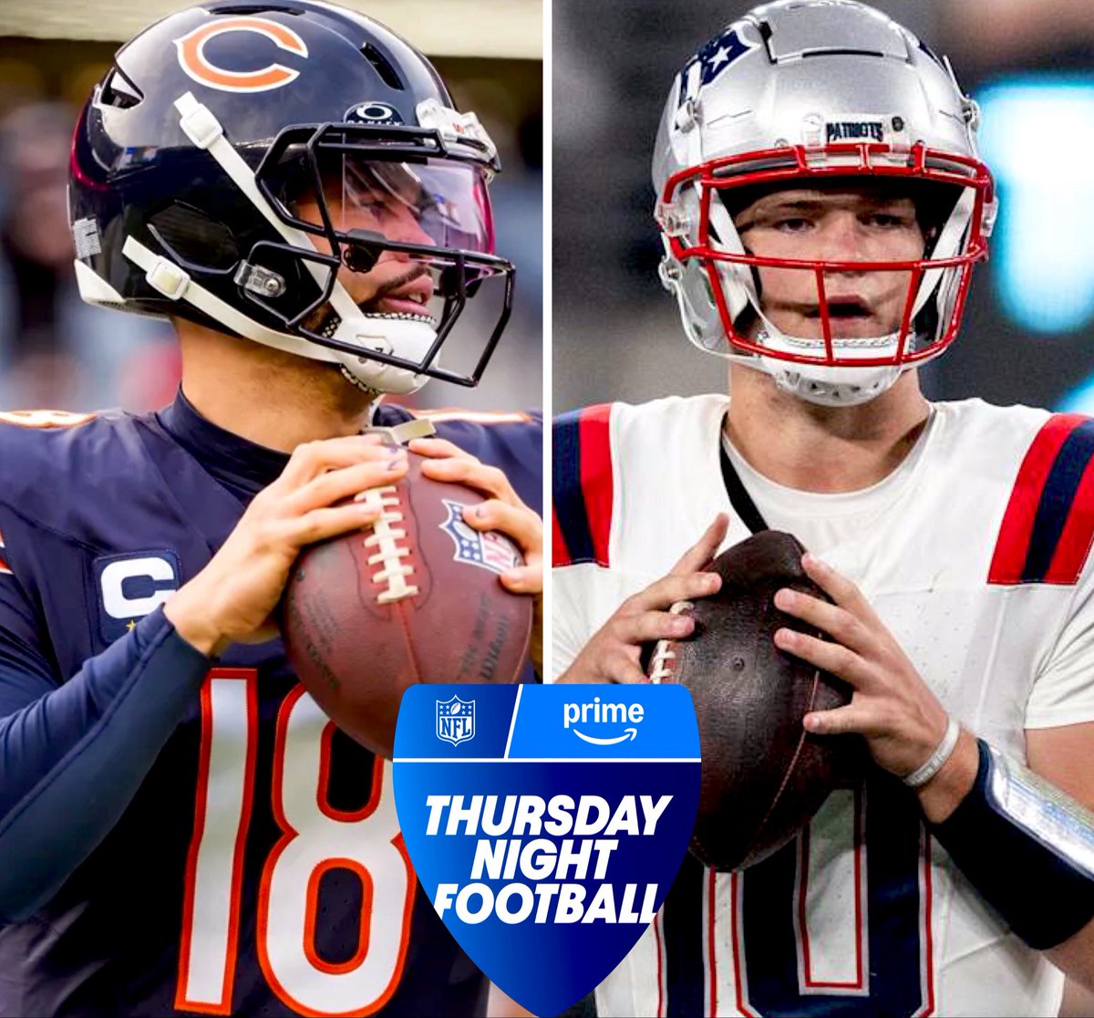 Bearsszn tweet media