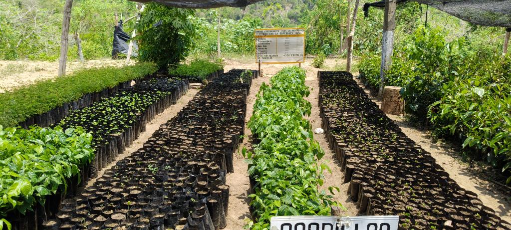 AlidaBelloS's tweet photo. Visita de seguimiento al vivero Comunitario de la CAC La Esperanza #MpioCuautepecGro. https://t.co/7r0pzDPOMB