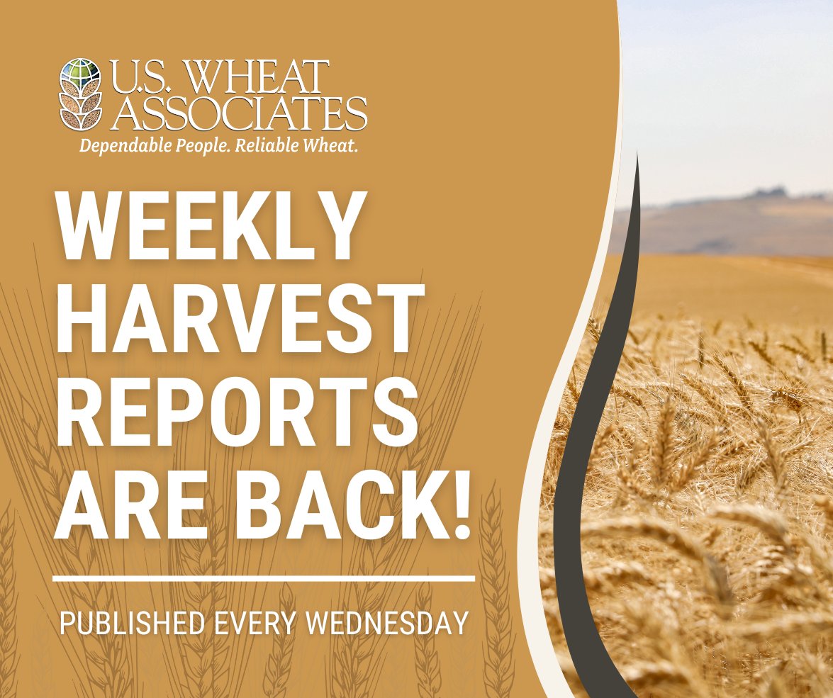 US Wheat Associates tweet media