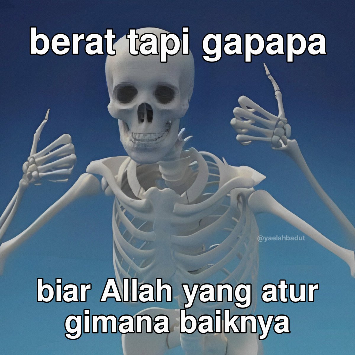 ibuul tweet media