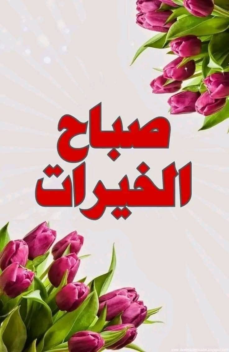 💙🔸🌼Salma Soo🌼🔸💙 tweet media