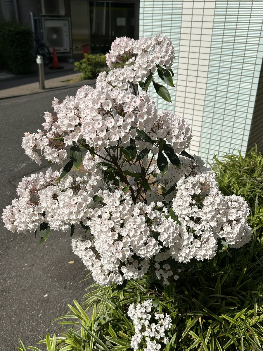 とある難病患者 tweet media