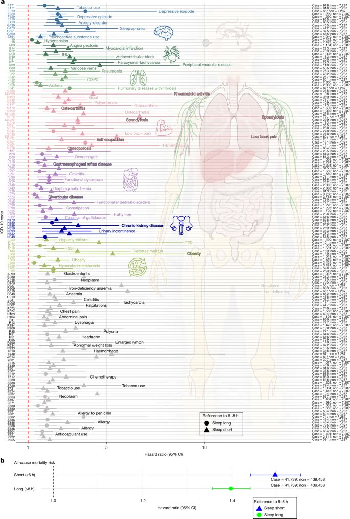 🔬 RicardoMontes tweet media
