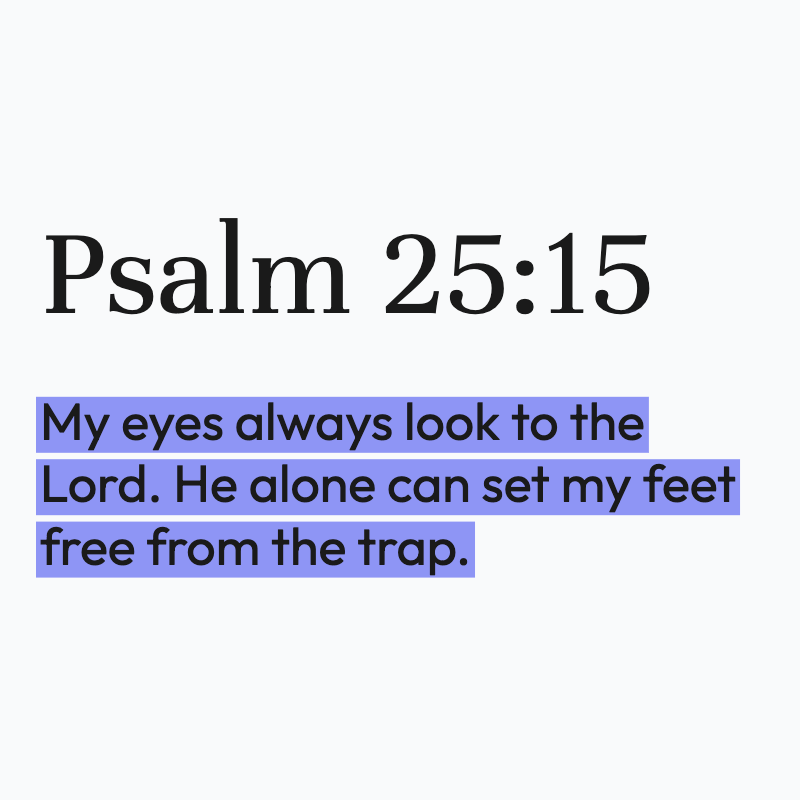 Biblical Advice tweet media