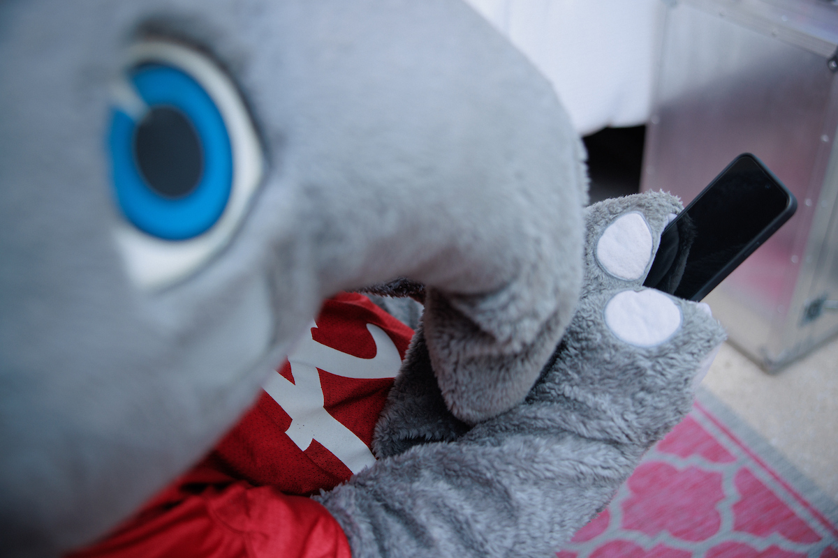 UofAlabama's tweet photo. ⚠️ Watch out for fake texts &amp; fake calls! This past semester, the UA community has been targeted by scams designed to look official. Check out @UA_Safety's tips for recognizing scams &amp; how to protect yourself → https://t.co/3JNWwoHwRX https://t.co/wUjDGHfo6K