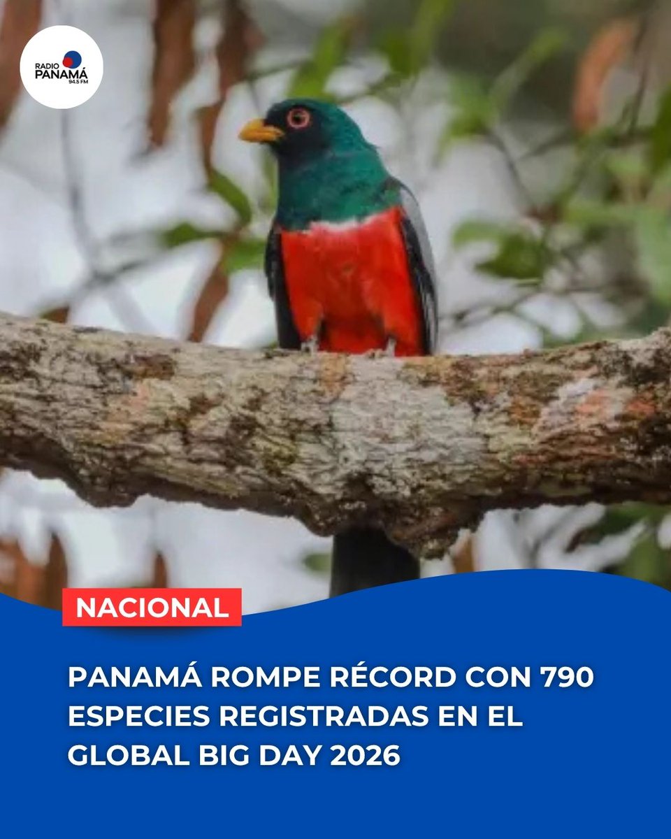 Radio Panamá tweet media