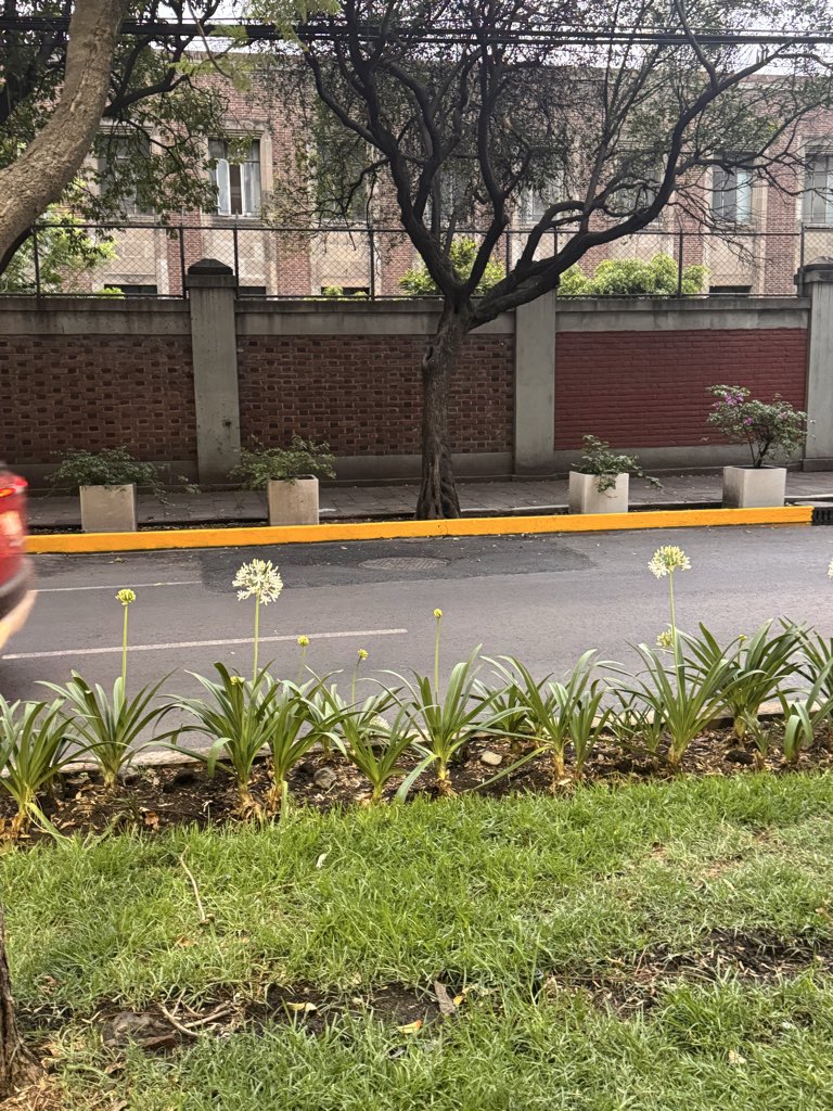 SuperSu08's tweet photo. Gracias ya vi que está arreglado https://t.co/WfIUPWGnfS