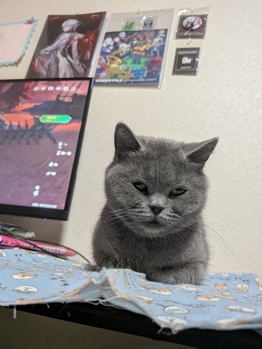 はむ茶漬け tweet media