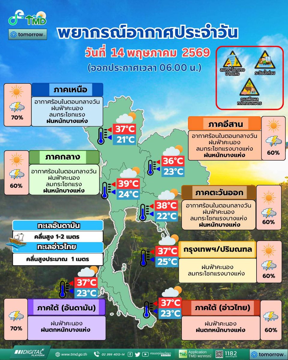 NBT - ภาคเหนือ tweet media