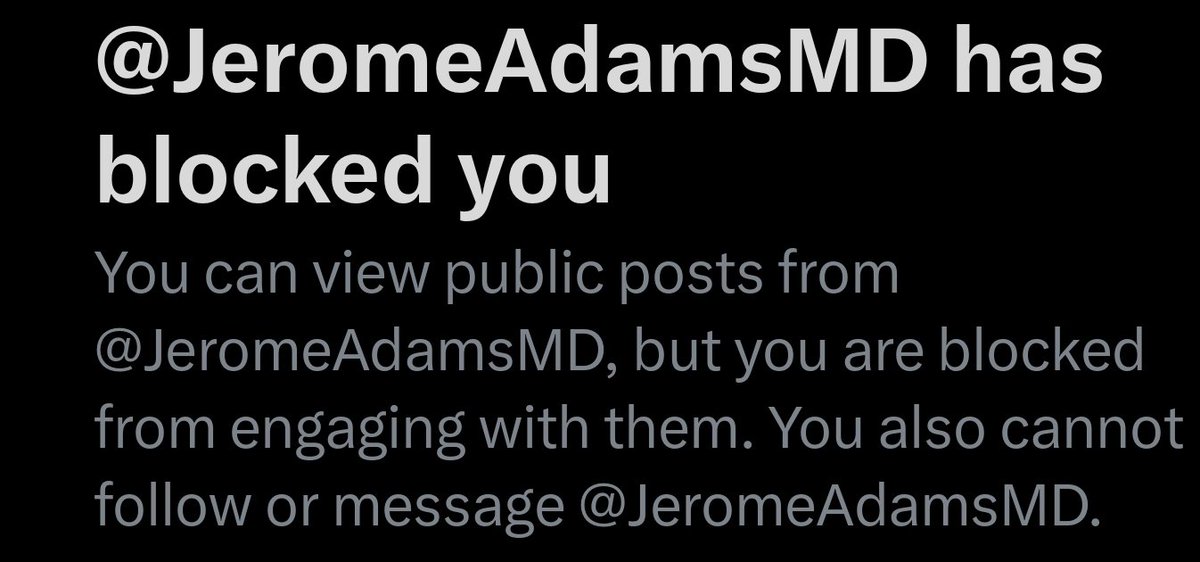 𝗗𝗔𝗡 𝗠𝗔𝗥𝗟𝗜𝗡 tweet media