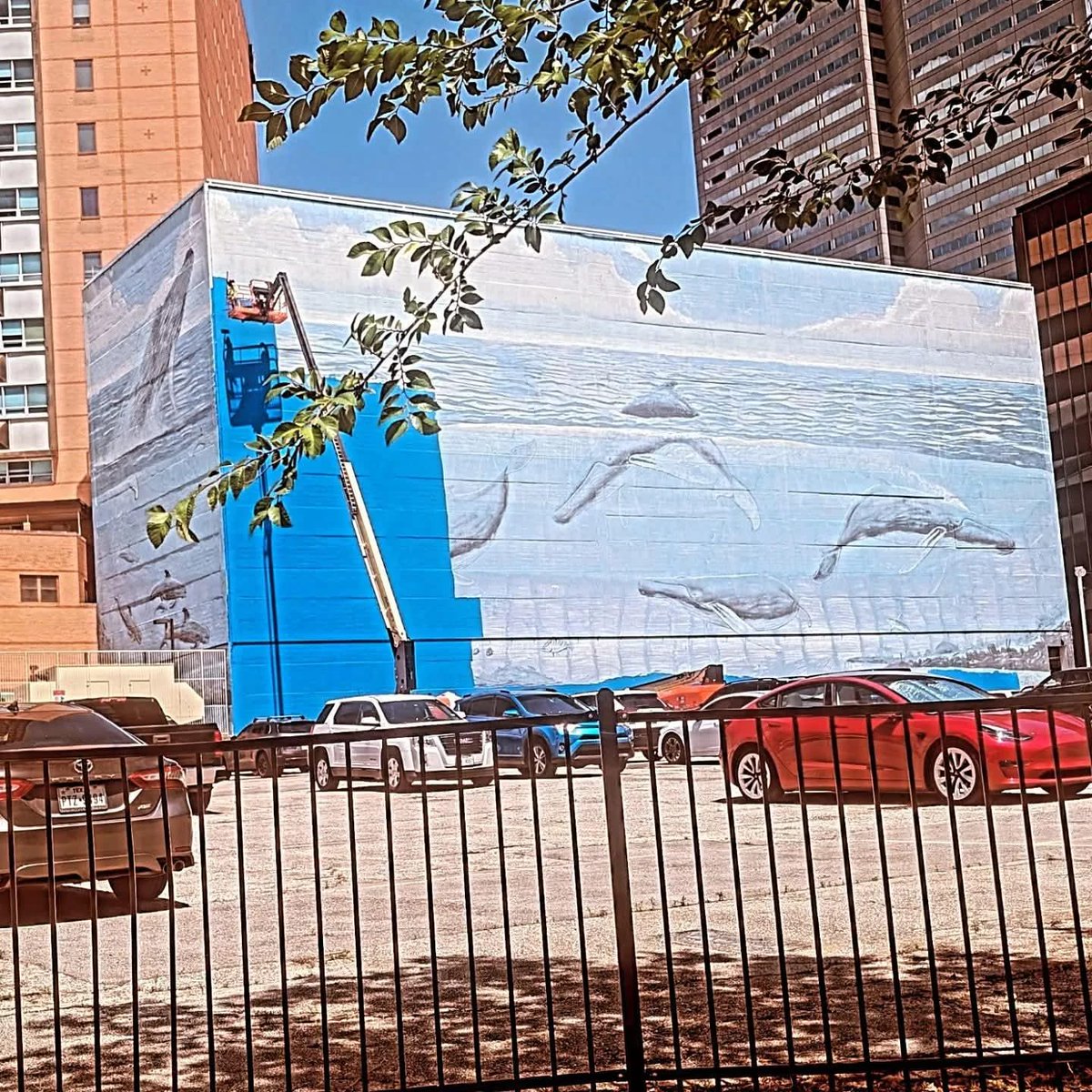 BigDallasEnergy's tweet photo. Are they really painting over the iconic Whaling Wall mural in downtown, ostensibly for some dumb FIFA bullshit?!  https://t.co/nvaZDNGTKA https://t.co/1nzff3ySKn