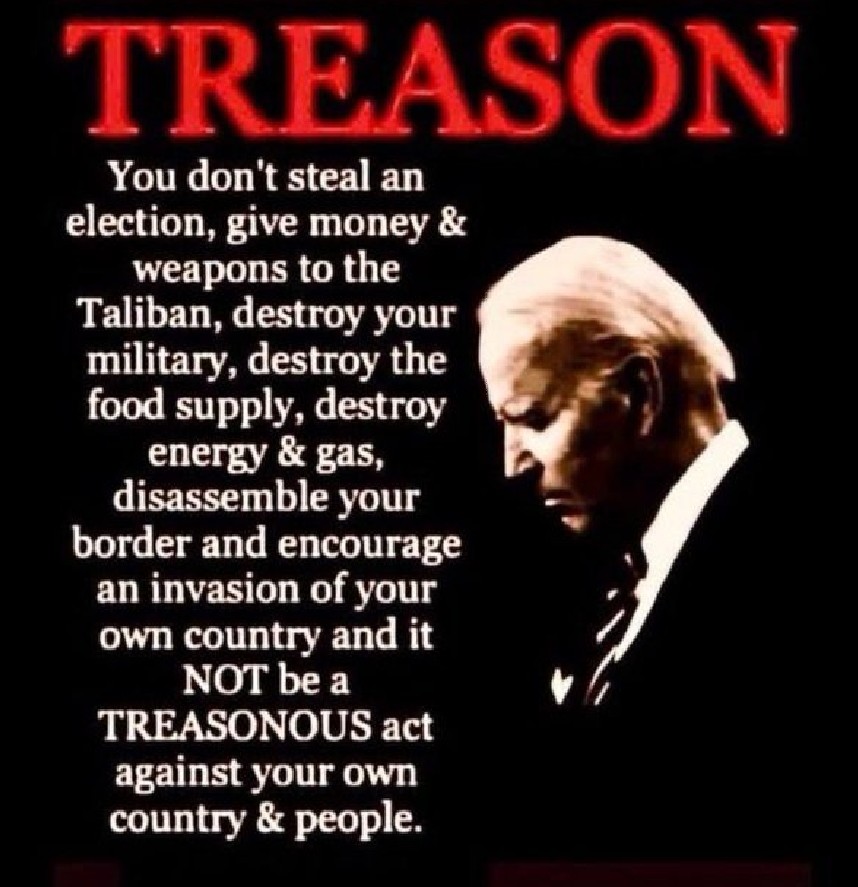 keeners1's tweet photo. @SenMarkKelly Start here! It's called treason. https://t.co/bnMlzd8KOE