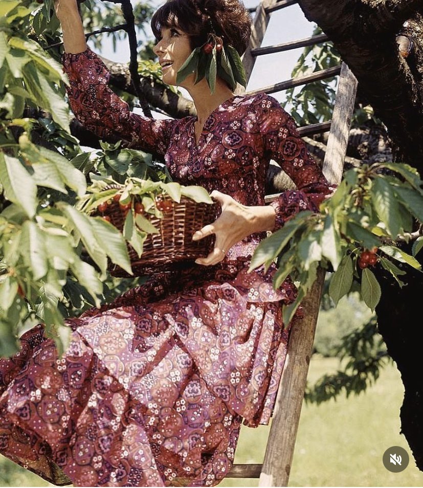 FlicksAnca's tweet photo. Spring | Primavera

AudreyHepburn, 1971 photographed by Henry Clarke https://t.co/gZ0j5vC9VL