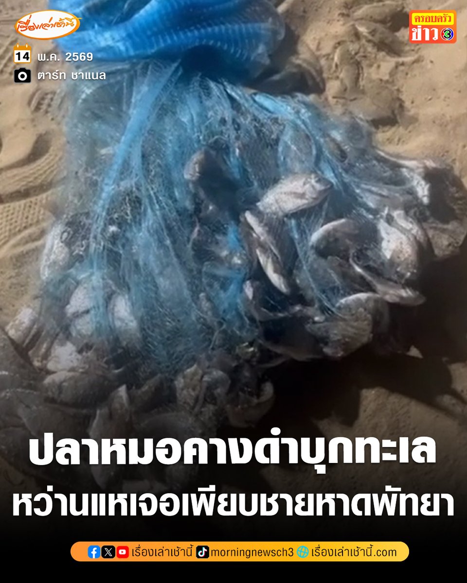 เรื่องเล่าเช้านี้ tweet media
