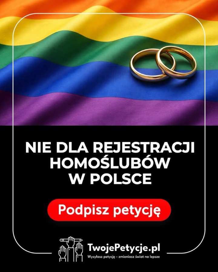 Tadeusz tweet media